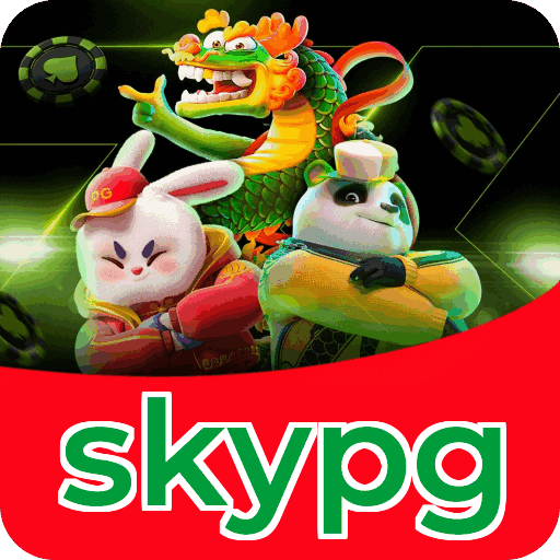Métodos de pagamento aceitos na skypg